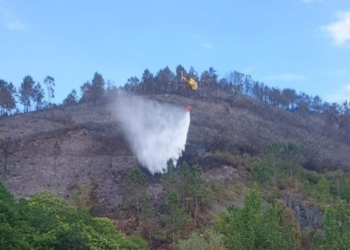 Controlado el incendio de Grado tras más de dos días de trabajo