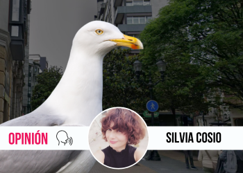 El cuento de la gaviota