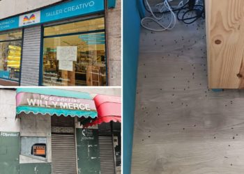 Re_Crea_Te, el negocio al que una plaga de moscas ajena ha forzado a bajar la persiana: «Dejo de ganar 400 euros diarios»