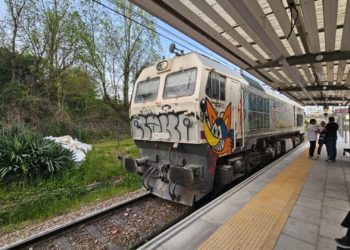 Una avería en un mercancías obliga a suspender el tráfico ferroviario entre San Juan y Llamaquique
