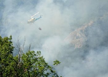 Un mes y 551 hectáreas calcinadas después, León y Asturias derrotan al incendio de Ribota de Sajambre