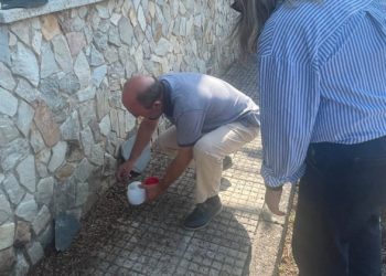 El Principado llama a la calma ante la ‘invasión’ de gusanos en Tineo: «Es una situación habitual»