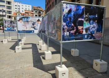 ¿Qué es lo ‘Lo que no se ve’ del día a día en el Acuario? Una exposición en Tomás y Valiente lo muestra