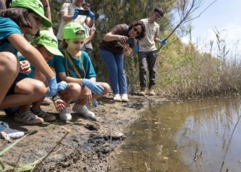 De Gijón a Valencia: galápagos europeos criados en el Acuario son reintroducidos en su hábitat natural
