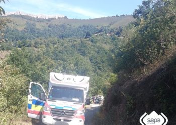 La picadura de una avispa acaba en tragedia evitada en Lena: un conductor vuelca y es evacuado en helicóptero