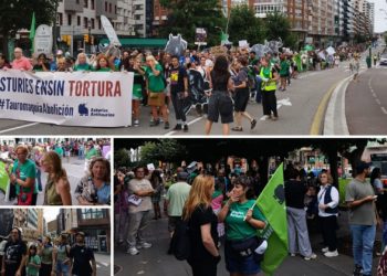 Cientos de personas claman en Gijón contra los toros: «Nada repugna la moral como la tortura intencional»