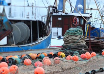 El PP reclama autorizar en agosto la pesca accidental del atún rojo ante la infrautilización de la cuota