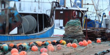 El PP reclama autorizar en agosto la pesca accidental del atún rojo ante la infrautilización de la cuota