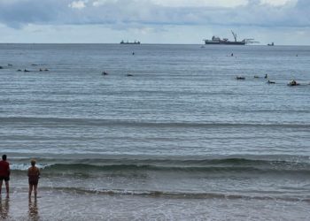 ‘Solitaire’, el no-tan-solitario titán de los mares que se nutre de cables y que ha dejado boquiabierta a Gijón