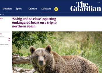 The Guardian se rinde a Asturias: el paraíso español donde los turistas buscan osos