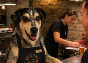 Willy Food responde a las críticas por su enfoque ‘dog friendly’: «Nos dan menos problemas que algunos comentarios»