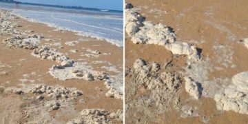 ¿Qué son las misteriosas ‘esponjas’ que han aparecido en el flanco este de San Lorenzo?