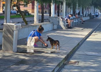 Esto es lo que los gijoneses le han pedido a la nueva Ordenanza de Protección y Bienestar Animal