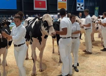 Sin vacas, pero con mucho campo… Y mar: AGROPEC ultima su gran regreso de este fin de semana a Gijón