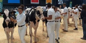 Sin vacas, pero con mucho campo… Y mar: AGROPEC ultima su gran regreso de este fin de semana a Gijón