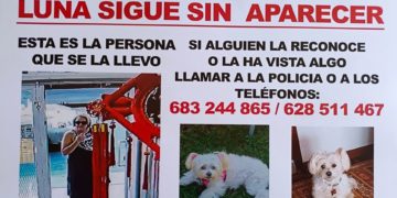 Se cumplen dos días sin noticias de ‘Luna’, la perra robada por una mujer en plena calle en El Natahoyo
