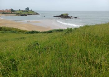 La metá de los xalés y na parte más lloñe de la costa: la CUOTA considera contrariu a la llegalidá’l proyeutu en La Isla