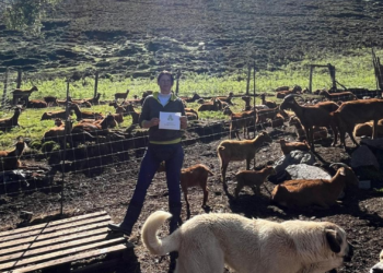 La criadora allandesa de cabra bermeya Úrsula Villabrille, ‘Mujer Rural de Asturias 2026’