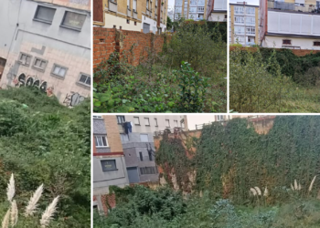 La paciencia con Urbanismo se agota en El Coto: los vecinos denuncian auténticos «focos de insalubridad»
