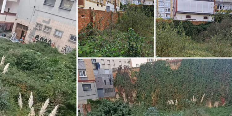 La paciencia con Urbanismo se agota en El Coto: los vecinos denuncian auténticos «focos de insalubridad»