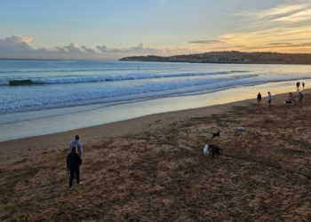 San Lorenzo vuelve a ser el paraíso canino de Gijón: «Para mi perro y para mí es como volver a casa»