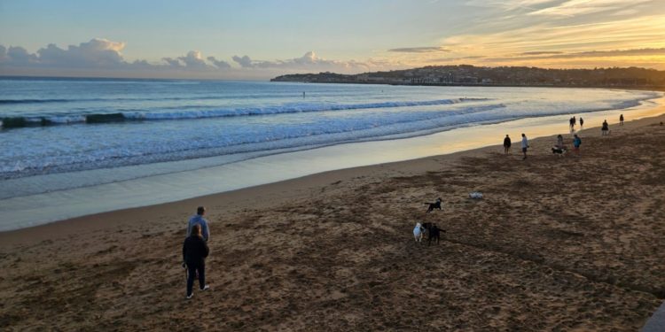 San Lorenzo vuelve a ser el paraíso canino de Gijón: «Para mi perro y para mí es como volver a casa»