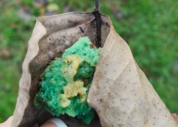 Dos perros intoxicados y una ardilla muerta en el parque de Isabel la Católica por ingerir comida envenenada