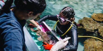 Contemplar, aprender y comprender: la receta del Acuario de Gijón para preservar el bienestar animal