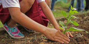 El voluntariáu asturianu sostién proyeutos que lleguen a munchos rincones
