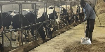 El campu asturianu busca relevu pa mantener les esplotaciones